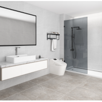 Frameless Single Panel Grey Colour Glass